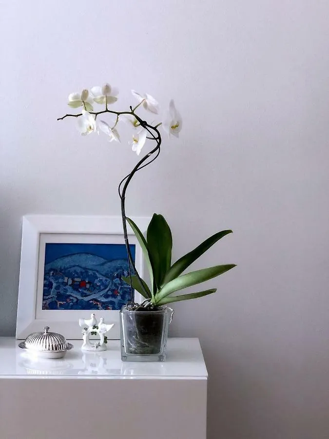 Apartment Marija Сплит